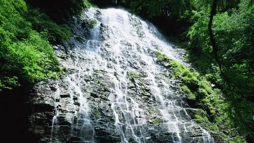 高标准高端
